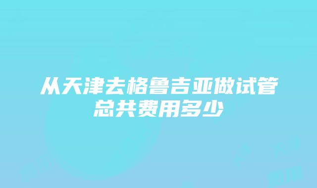 从天津去格鲁吉亚做试管总共费用多少