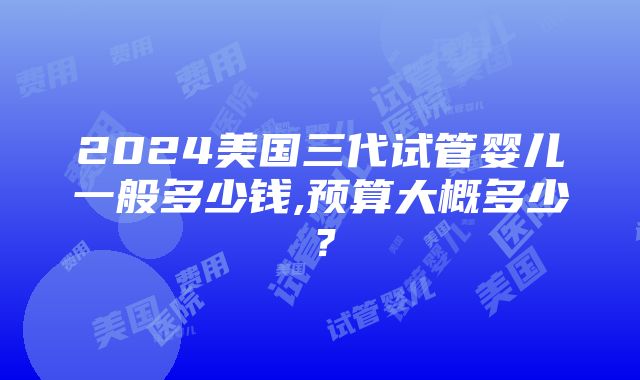 2024美国三代试管婴儿一般多少钱,预算大概多少？