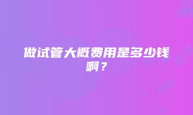 做试管大概费用是多少钱啊？