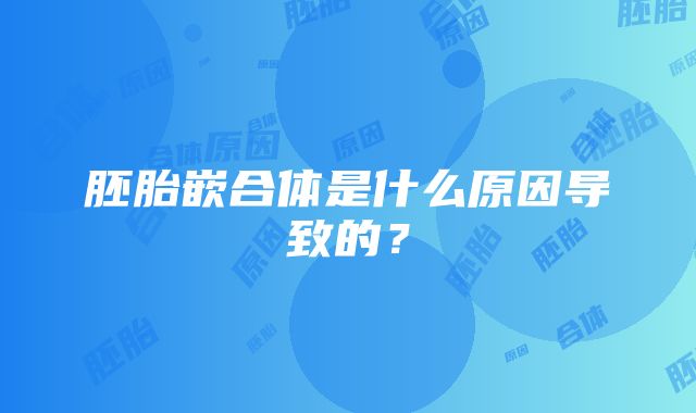 胚胎嵌合体是什么原因导致的？