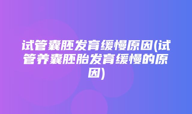 试管囊胚发育缓慢原因(试管养囊胚胎发育缓慢的原因)