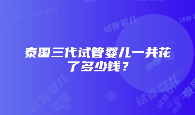 泰国三代试管婴儿一共花了多少钱？