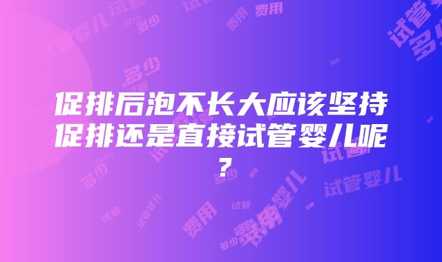 促排后泡不长大应该坚持促排还是直接试管婴儿呢？