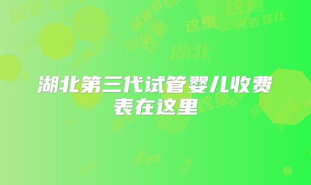 湖北第三代试管婴儿收费表在这里