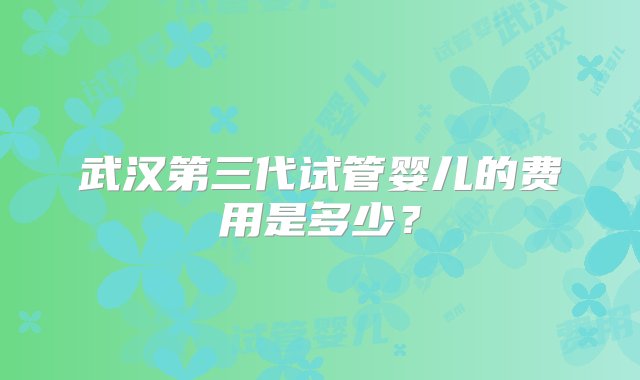 武汉第三代试管婴儿的费用是多少？