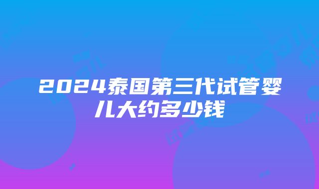 2024泰国第三代试管婴儿大约多少钱