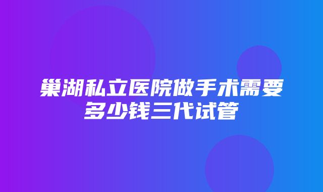 巢湖私立医院做手术需要多少钱三代试管