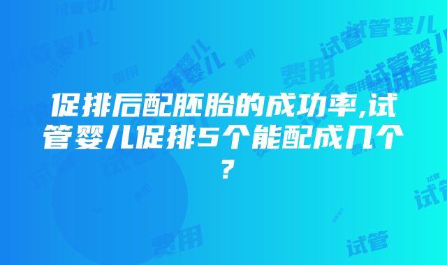 促排后配胚胎的成功率,试管婴儿促排5个能配成几个？