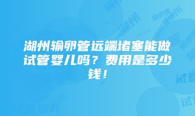 湖州输卵管远端堵塞能做试管婴儿吗？费用是多少钱！