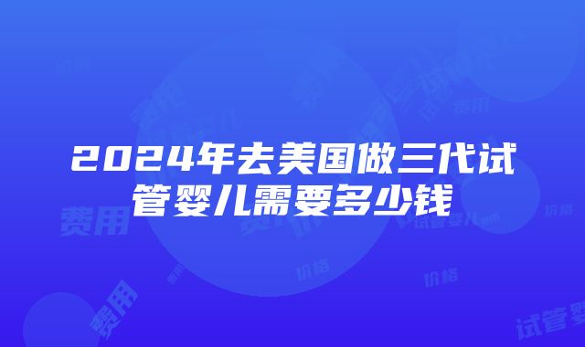 2024年去美国做三代试管婴儿需要多少钱