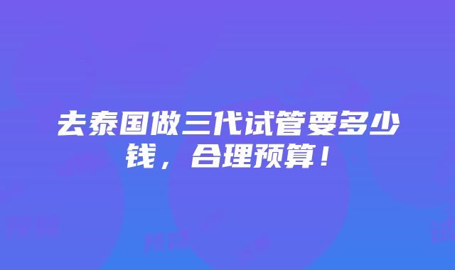 去泰国做三代试管要多少钱，合理预算！