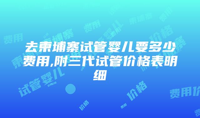 去柬埔寨试管婴儿要多少费用,附三代试管价格表明细