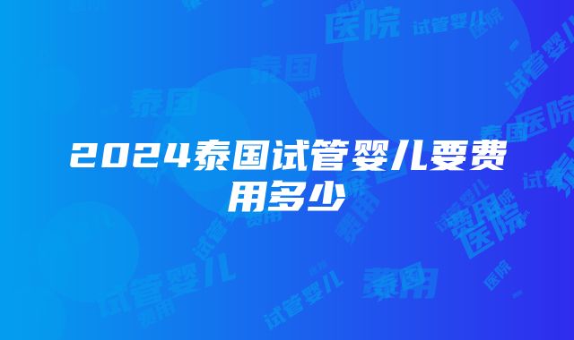 2024泰国试管婴儿要费用多少