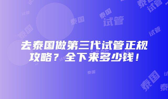 去泰国做第三代试管正规攻略？全下来多少钱！