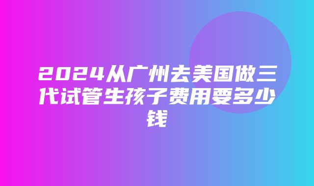 2024从广州去美国做三代试管生孩子费用要多少钱