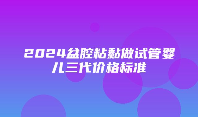 2024盆腔粘黏做试管婴儿三代价格标准