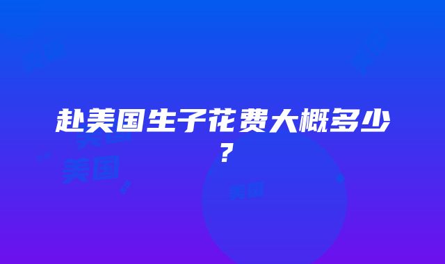 赴美国生子花费大概多少？