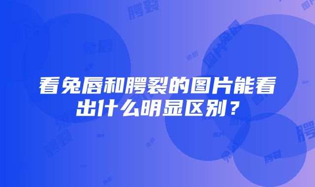 看兔唇和腭裂的图片能看出什么明显区别？