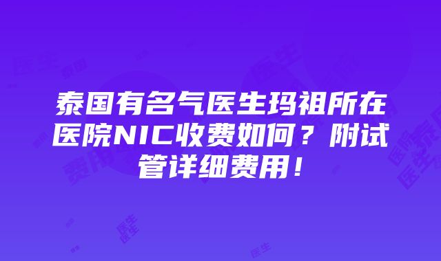 泰国有名气医生玛祖所在医院NIC收费如何？附试管详细费用！