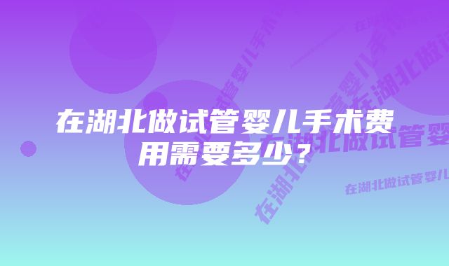 在湖北做试管婴儿手术费用需要多少？