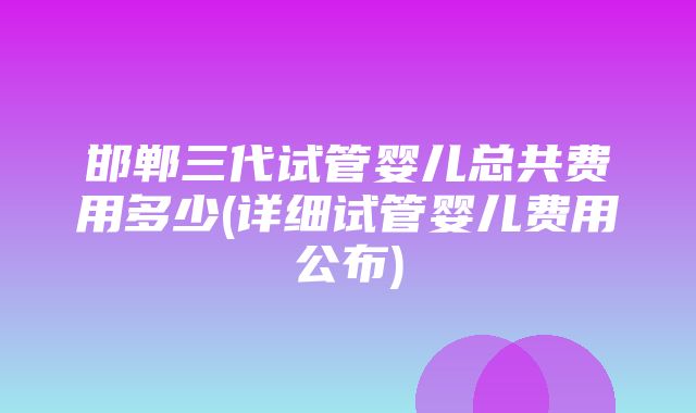 邯郸三代试管婴儿总共费用多少(详细试管婴儿费用公布)