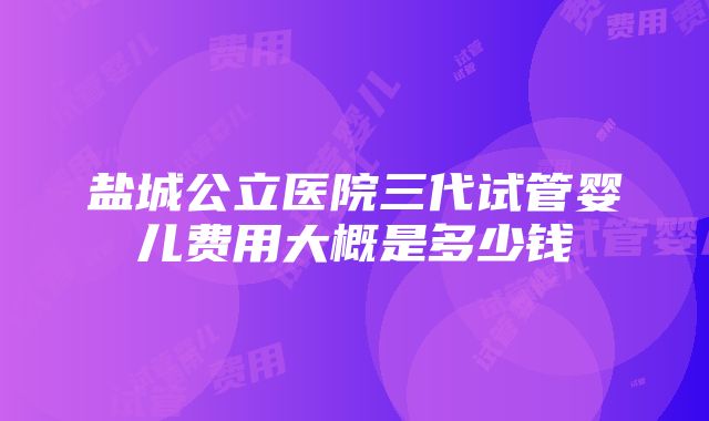 盐城公立医院三代试管婴儿费用大概是多少钱