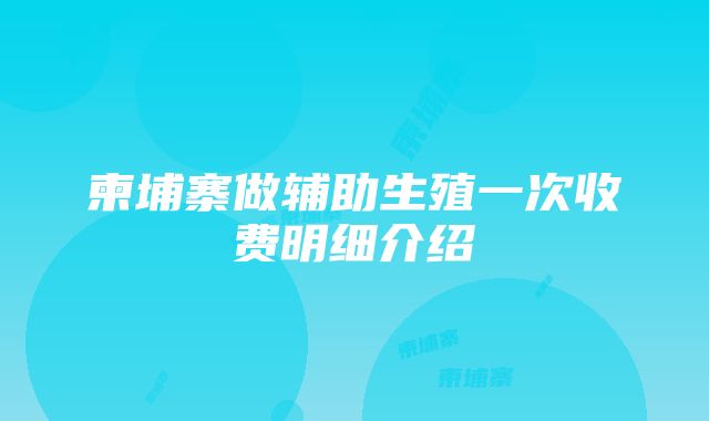 柬埔寨做辅助生殖一次收费明细介绍