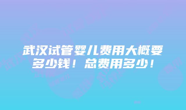 武汉试管婴儿费用大概要多少钱！总费用多少！