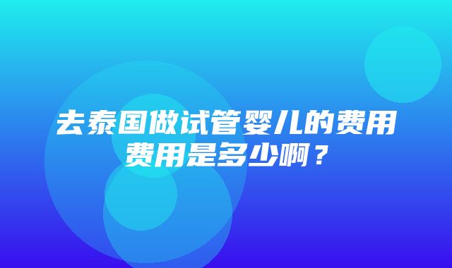 去泰国做试管婴儿的费用费用是多少啊？