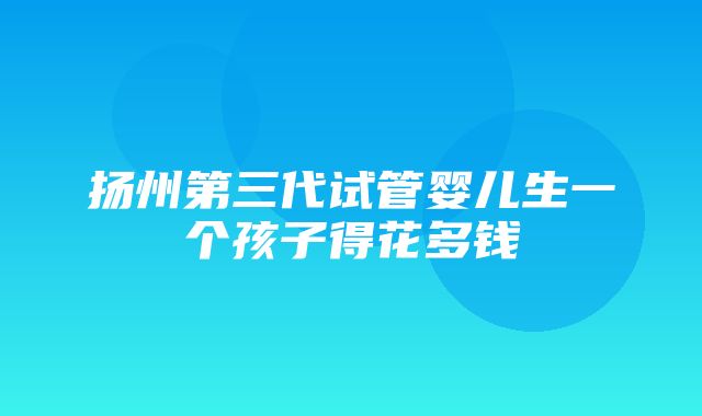 扬州第三代试管婴儿生一个孩子得花多钱