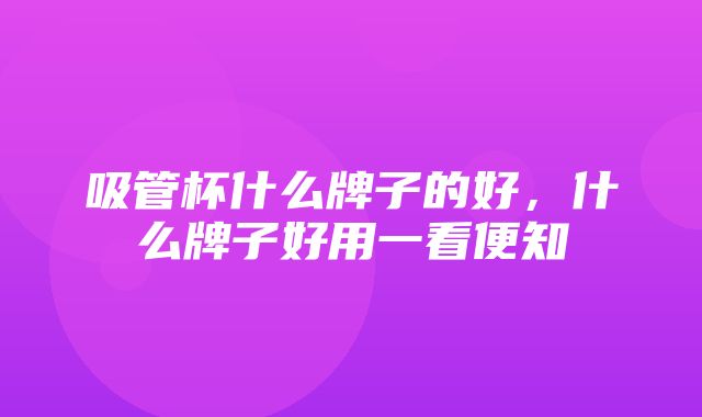 吸管杯什么牌子的好，什么牌子好用一看便知