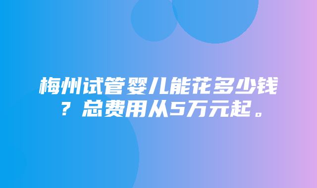 梅州试管婴儿能花多少钱？总费用从5万元起。