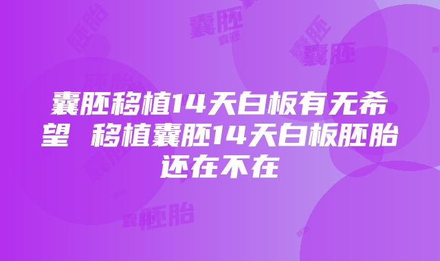 囊胚移植14天白板有无希望 移植囊胚14天白板胚胎还在不在