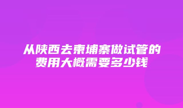 从陕西去柬埔寨做试管的费用大概需要多少钱