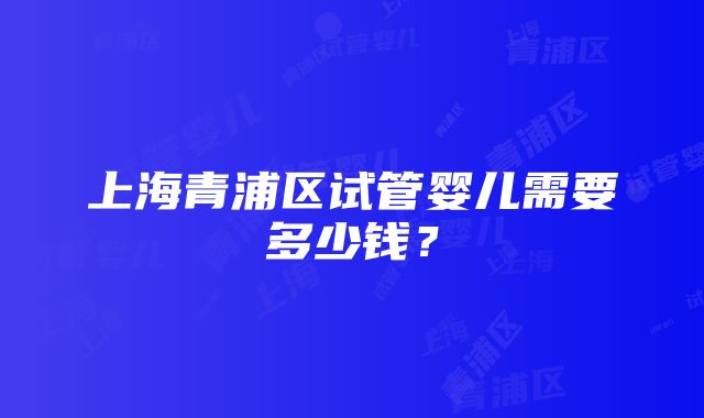 上海青浦区试管婴儿需要多少钱？