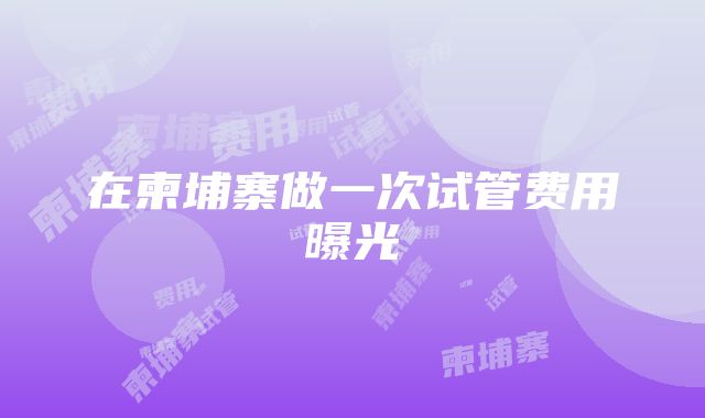 在柬埔寨做一次试管费用曝光