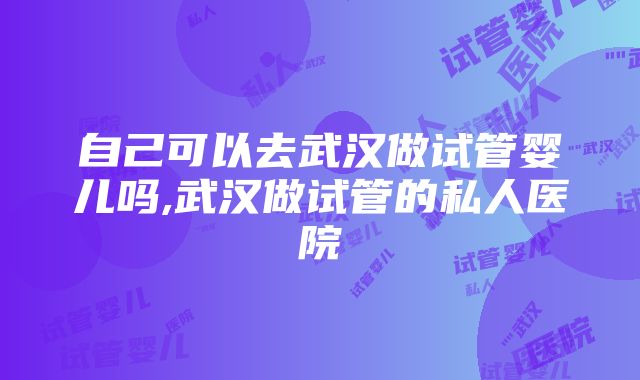 自己可以去武汉做试管婴儿吗,武汉做试管的私人医院