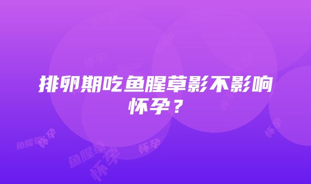 排卵期吃鱼腥草影不影响怀孕？