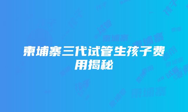 柬埔寨三代试管生孩子费用揭秘