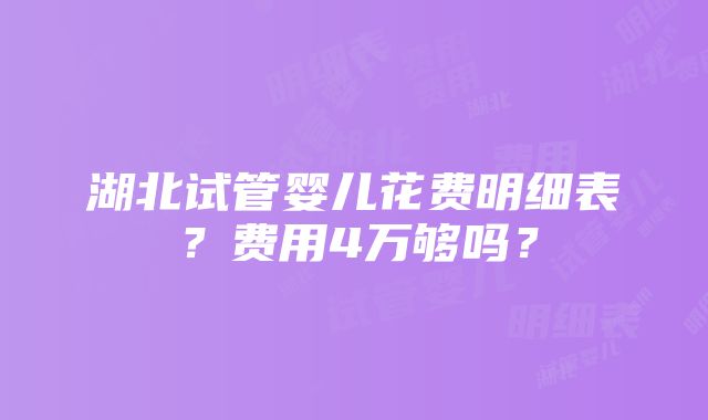 湖北试管婴儿花费明细表？费用4万够吗？