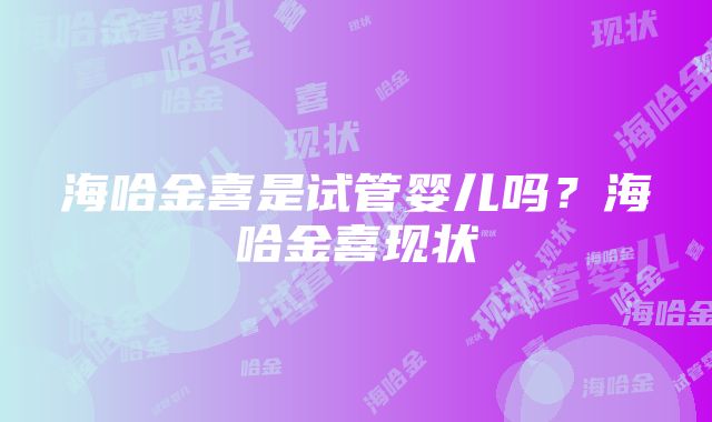 海哈金喜是试管婴儿吗？海哈金喜现状