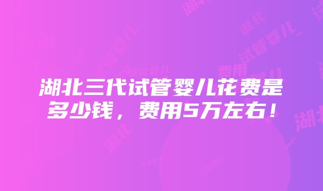 湖北三代试管婴儿花费是多少钱，费用5万左右！