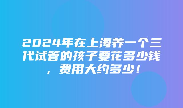 2024年在上海养一个三代试管的孩子要花多少钱，费用大约多少！