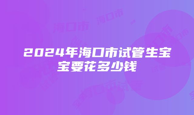 2024年海口市试管生宝宝要花多少钱