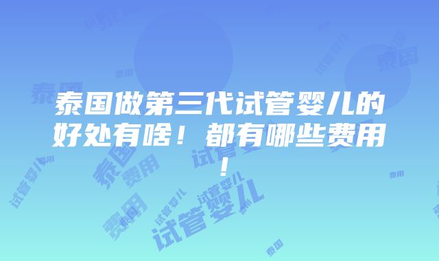 泰国做第三代试管婴儿的好处有啥！都有哪些费用！