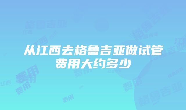 从江西去格鲁吉亚做试管费用大约多少