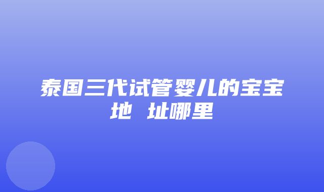 泰国三代试管婴儿的宝宝地 址哪里