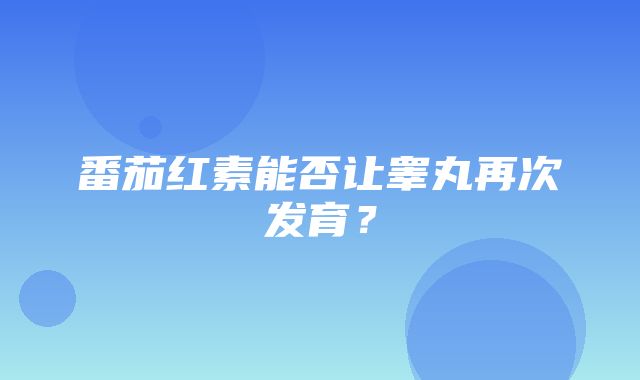 番茄红素能否让睾丸再次发育？