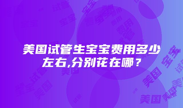 美国试管生宝宝费用多少左右,分别花在哪？