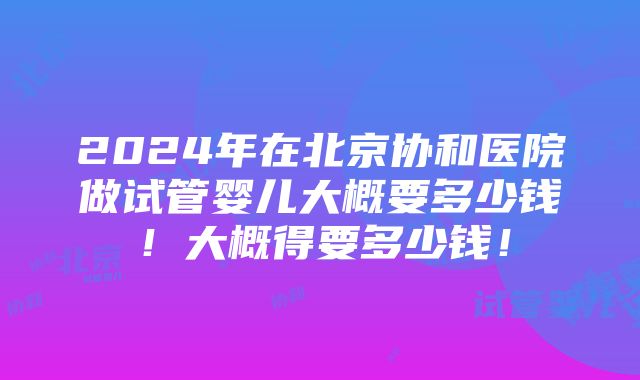 2024年在北京协和医院做试管婴儿大概要多少钱！大概得要多少钱！